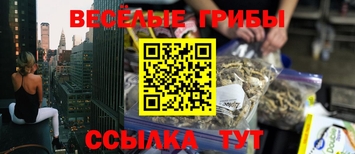 где продают наркотики  Вход с VPN  Изобильный  Псилоцибиновые грибы Cubensis  Псилоцибиновые грибы Cubensis 